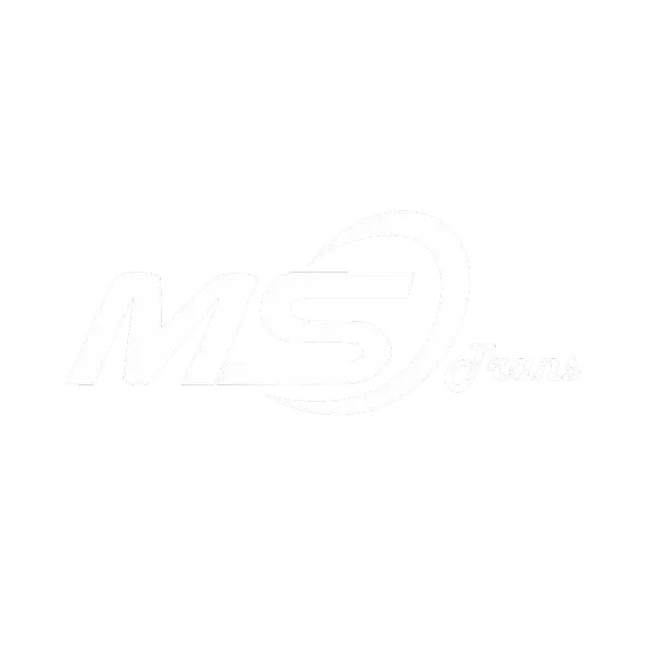 Logo mstrans